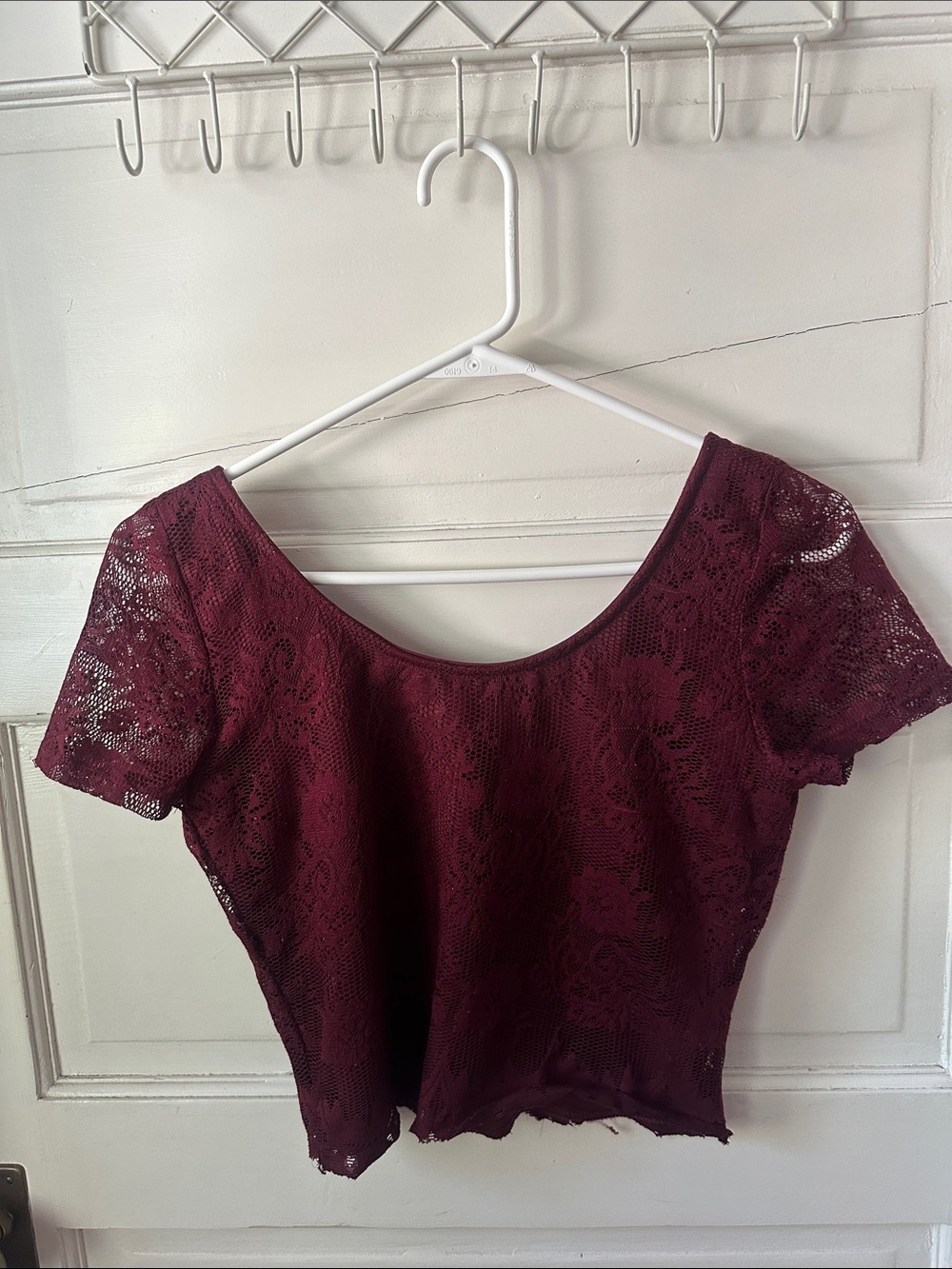 Lace Scoop Neck Cap Sleeve Burgundy Red Scalloped Hem Crop Top - Picture 7 of 13